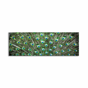 Canvas Wall Art-Peacock Feathers-Nature Artwork