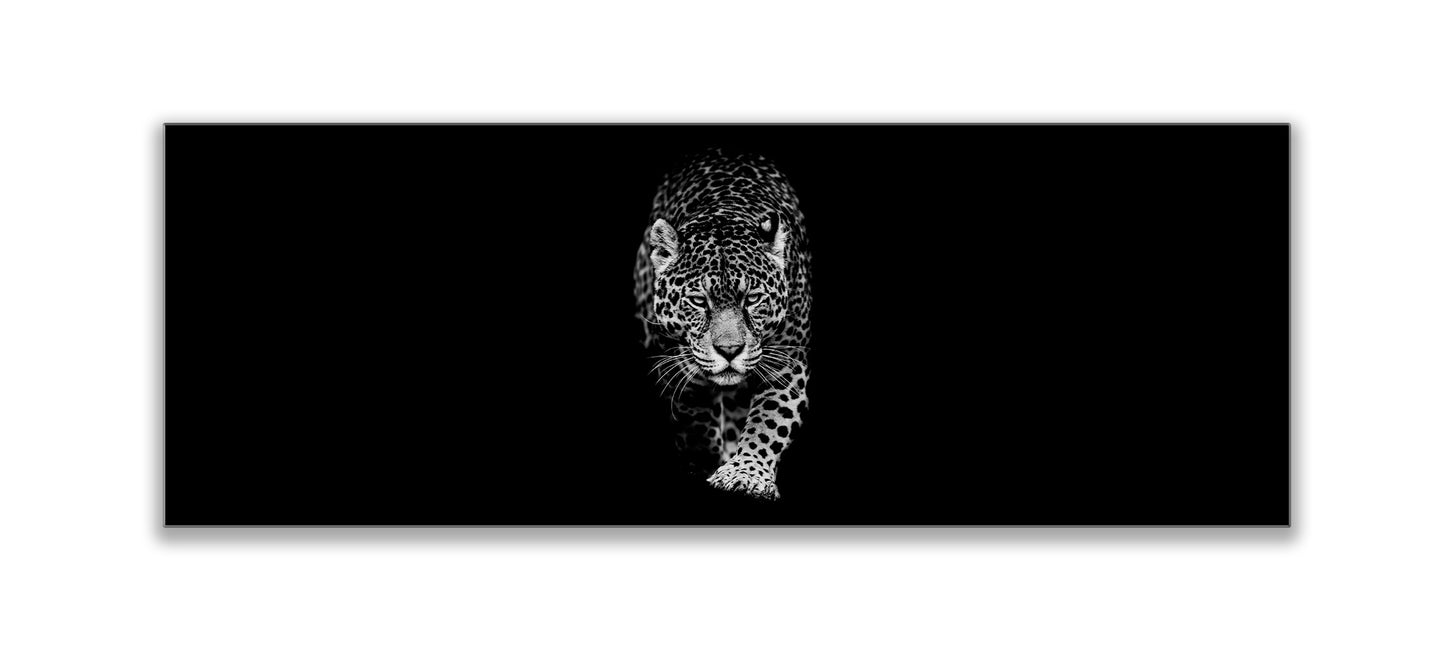 Leopard in Black & White 72" x 24"