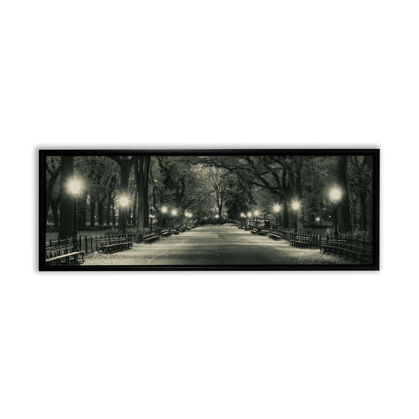 The Mall in Central Park 72" x 24"