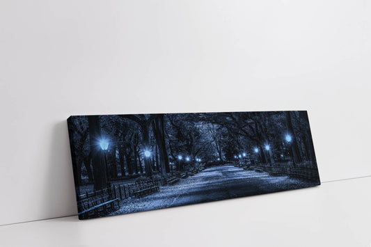 Central Park 72" x 24" Fine Art Canvas