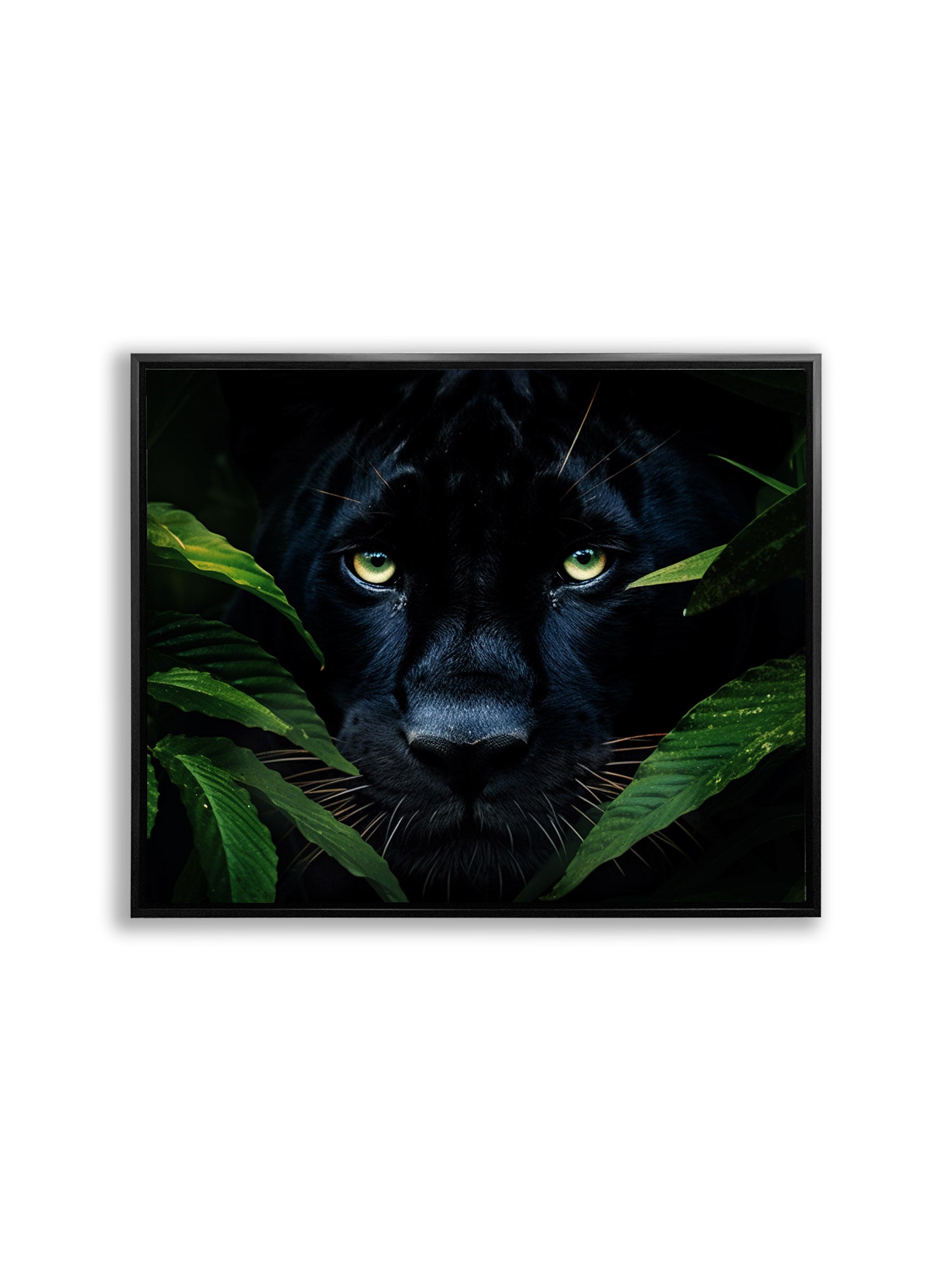 Canvas Print Rare Black Jaguar