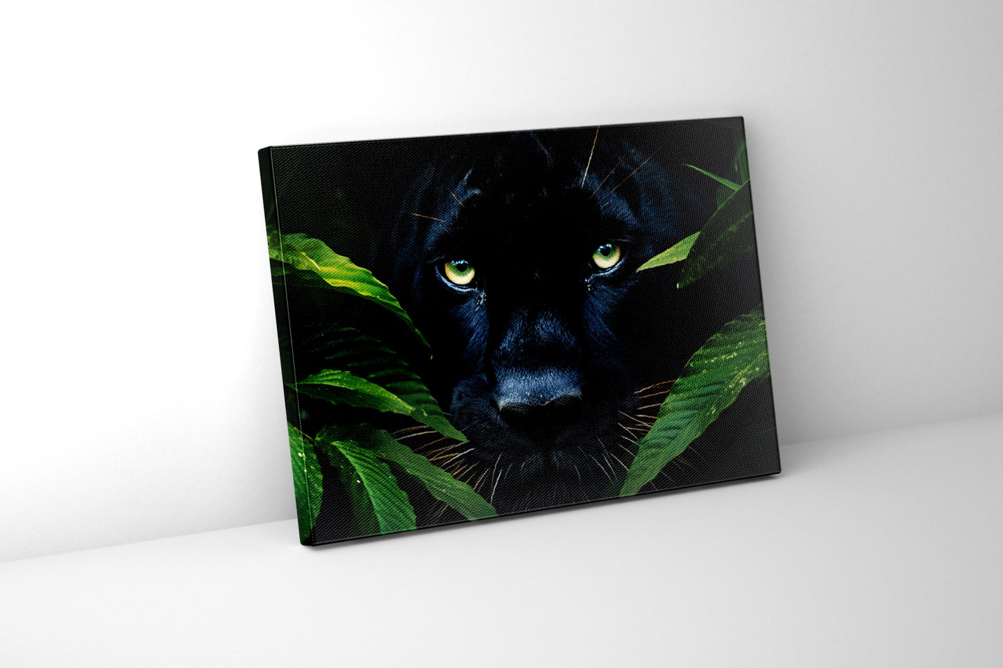 Canvas Print Rare Black Jaguar