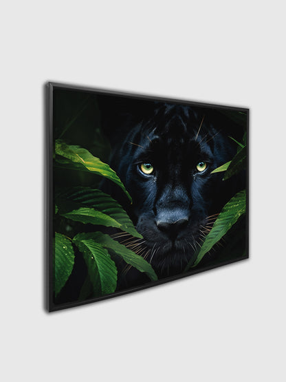 Canvas Print Rare Black Jaguar