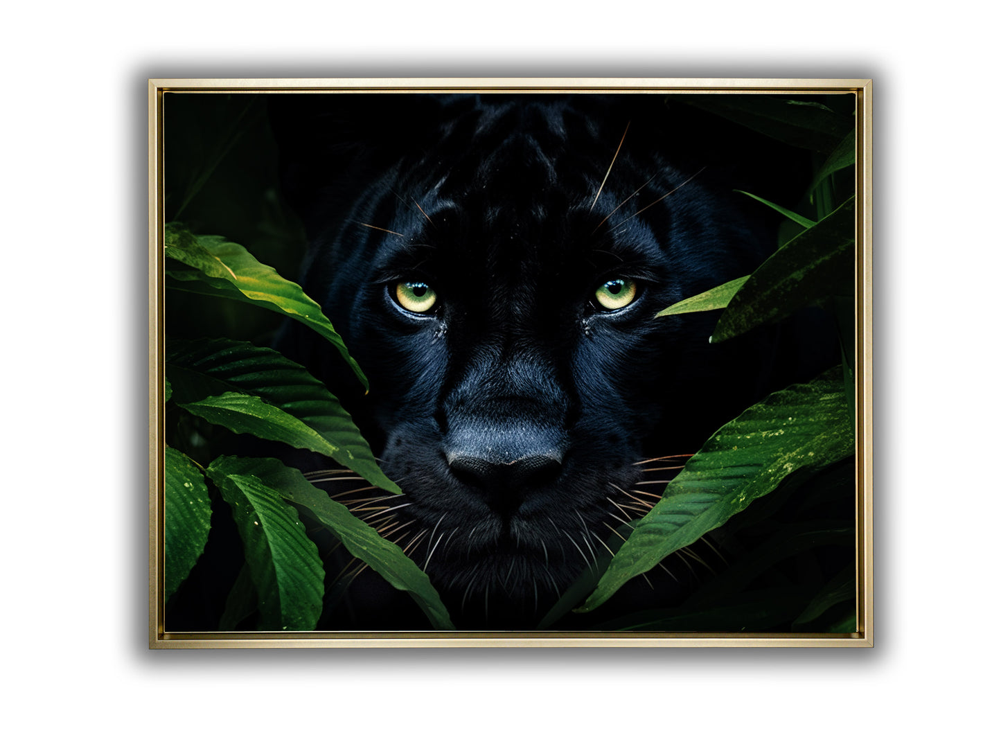 Canvas Print Rare Black Jaguar on Floating Fram Gold