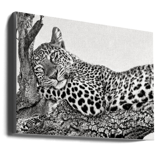 Wall art Time to rest Leopard