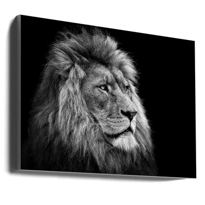 Wall art Lion