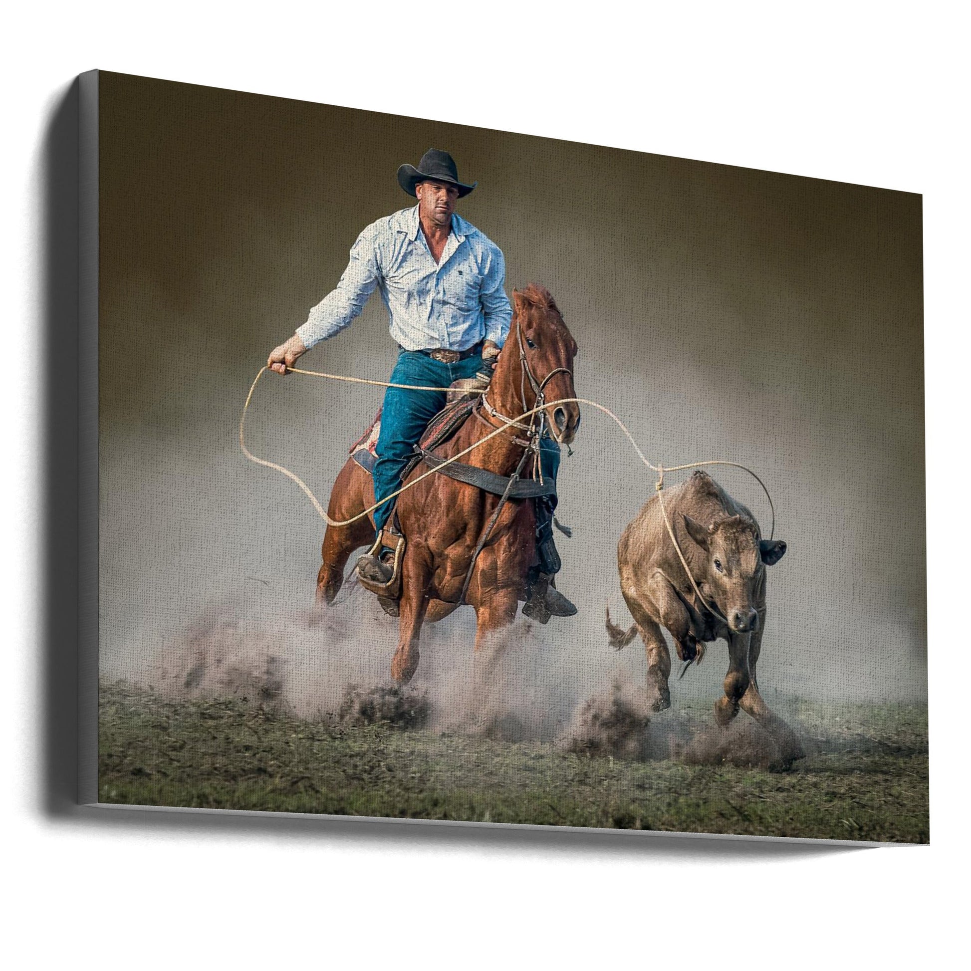  Roped Wall Artwork In Black Floating Frame