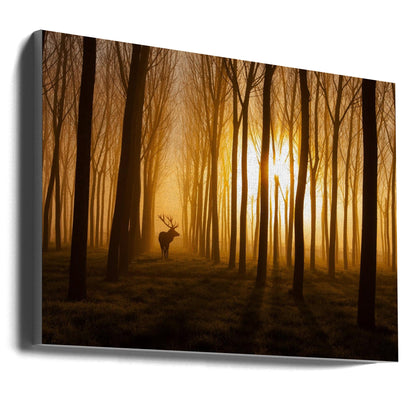  Once Upon a Time Wall Artwork Gallery Wrapped (Ready to Hang)