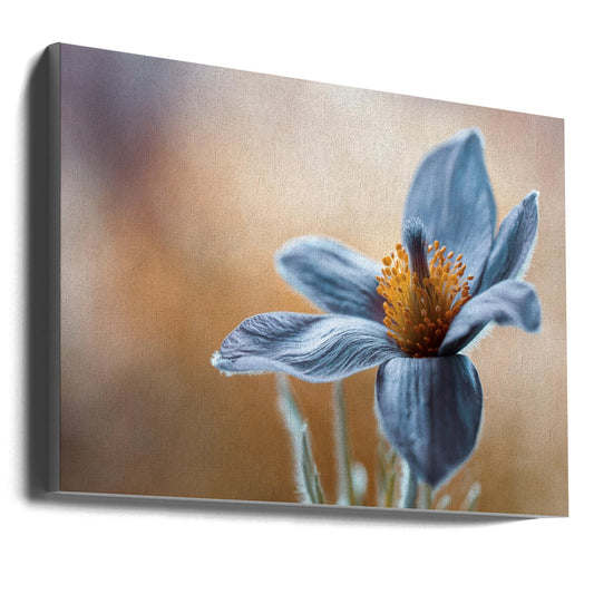 Artwork Pasque. Floral36X24inches- Unframed