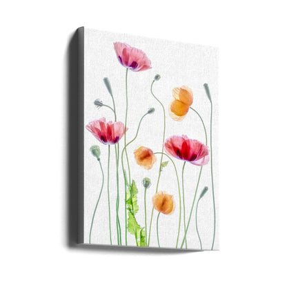  Poppies Wall Artwork Gallery Wrapped (Ready to Hang)