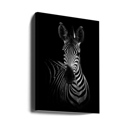 Wall art The Zebra