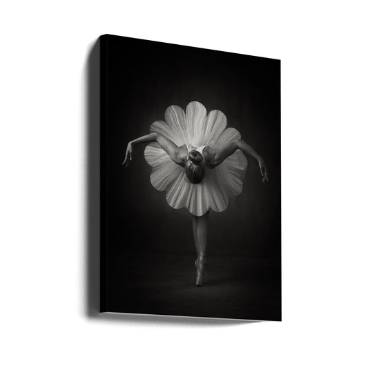  Floral Ballet Wall Artwork Gallery Wrapped (Ready to Hang)