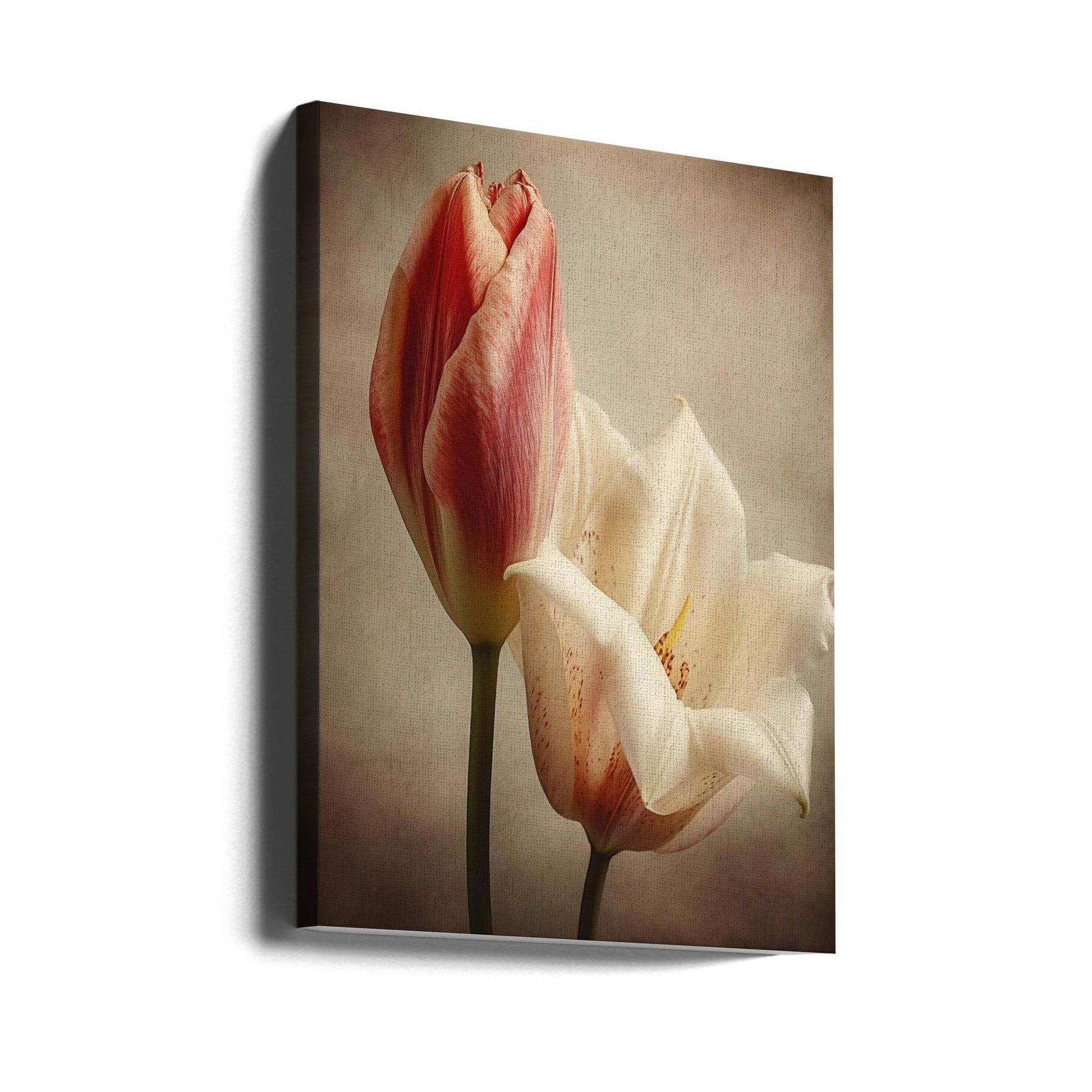  Vintage Flowers 3 Wall Artwork Gallery Wrapped (Ready to Hang)