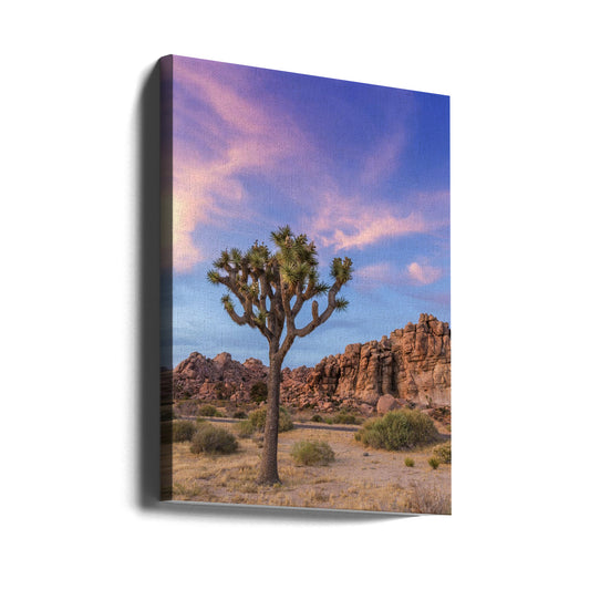 Wall art Joshua Tree Evening Atmosphere