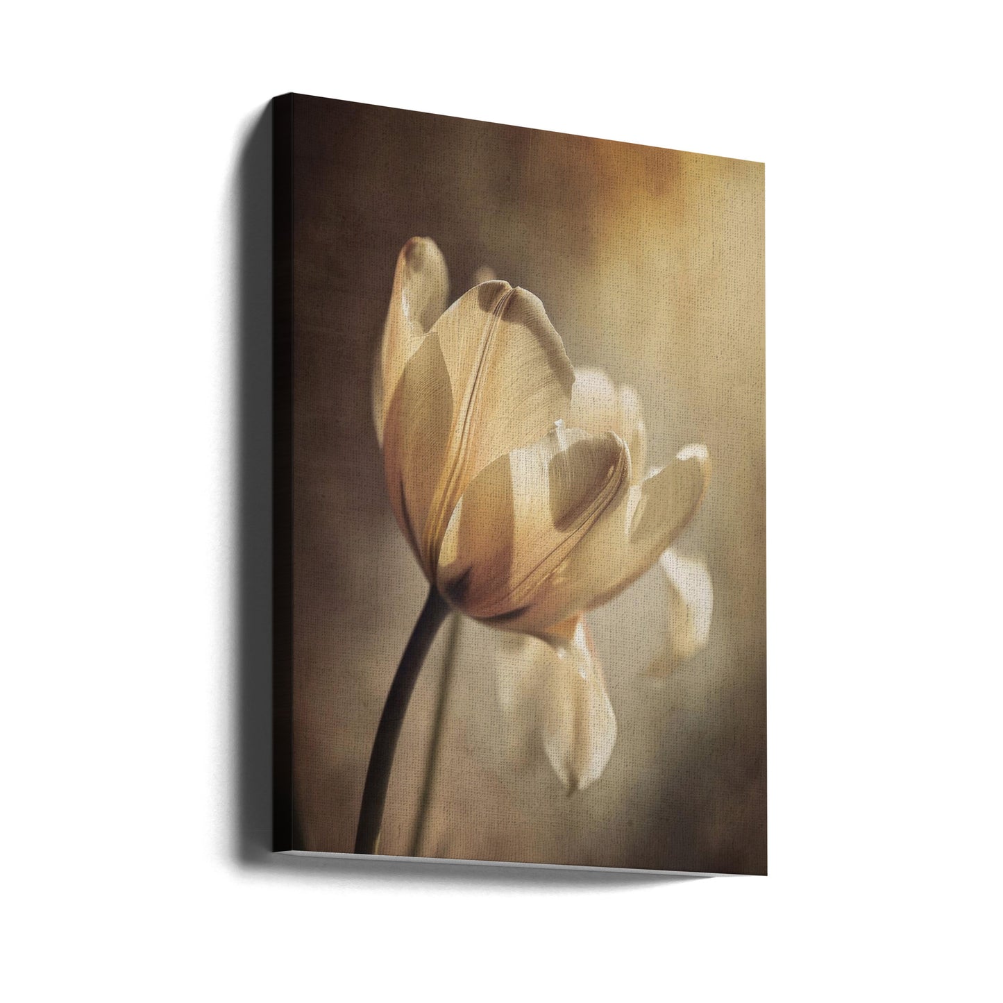 Wall art Pastel Tulip