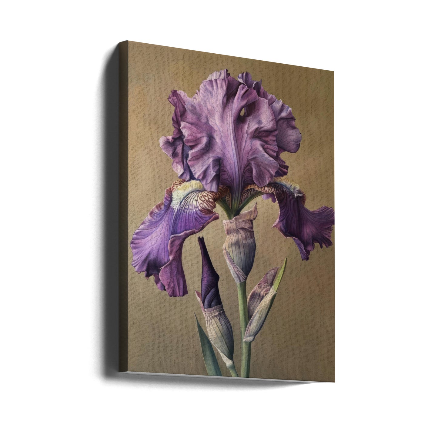 Wall art Iris Fl 101