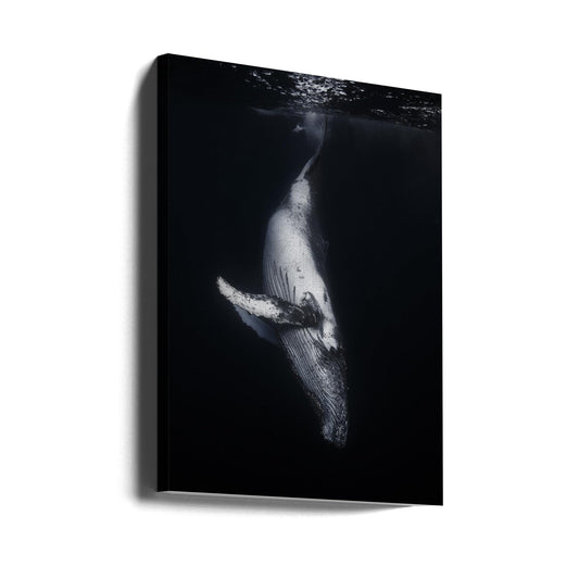 Wall art Black Whale