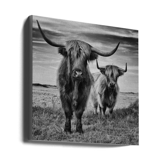  Highlands Wall Artwork Gallery Wrapped (Ready to Hang)