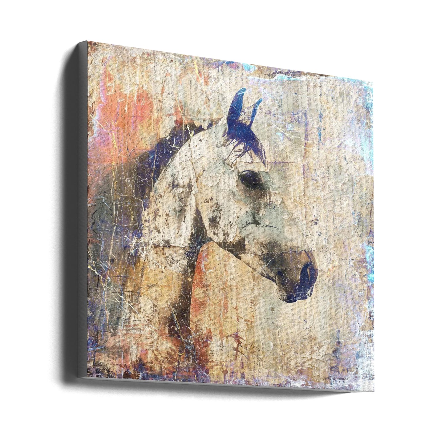 Wall art Horse Vintage Art Illustration 04