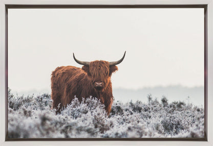  Highlander Wall Artwork In Black Floating Frame