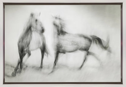 Artwork- Shivers-48X36inches-In White Floating Frame