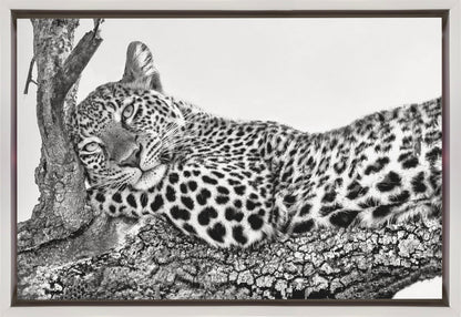 Wall art Time to rest Leopard