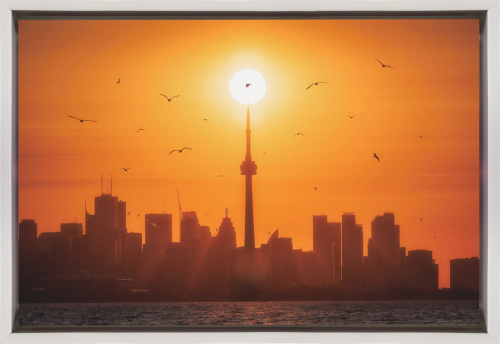 Sun Rising Behind Toronto-Wall Art In Black Floating Frame-36X24inches