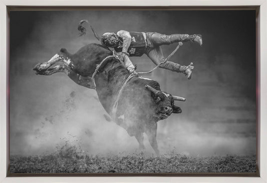  Keeping Balance Wall Artwork Gallery Wrapped (Ready to Hang)