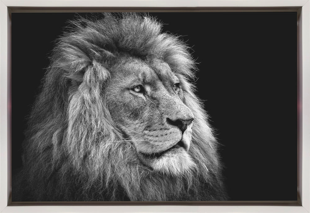 Wall art Lion