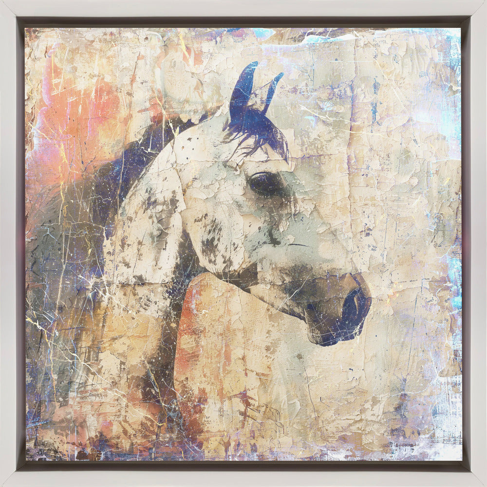 Wall art Horse Vintage Art Illustration 04