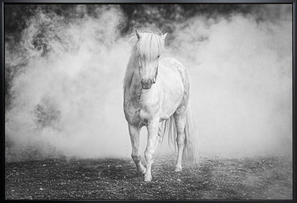 Artwork- Icelandic pony-20X16inches-In White Floating Frame