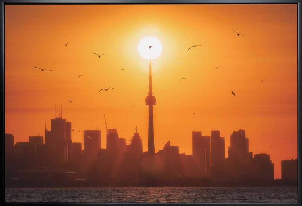 Sun Rising Behind Toronto-Wall Art In White Floating Frame-36X24inches