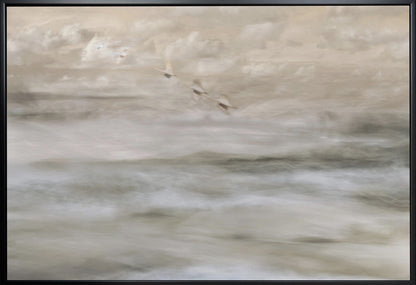 Artwork- Swans over sea-20X16inches-In White Floating Frame