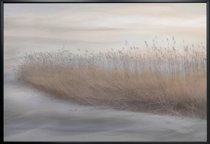 Artwork- Winter Reed-20X16inches-In White Floating Frame