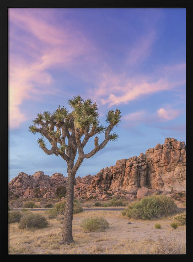 Wall art Joshua Tree Evening Atmosphere