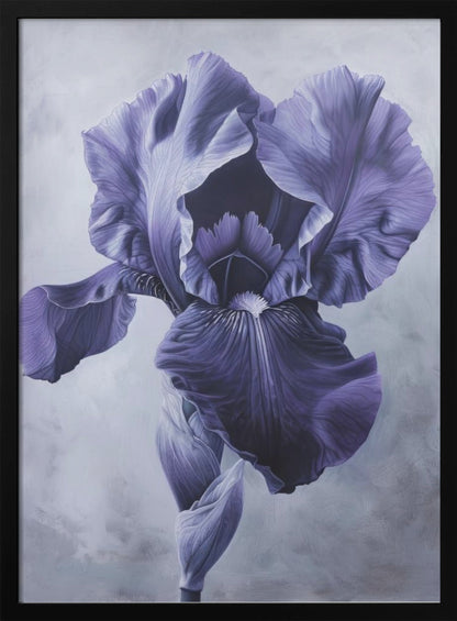 Wall art Iris Fl 95