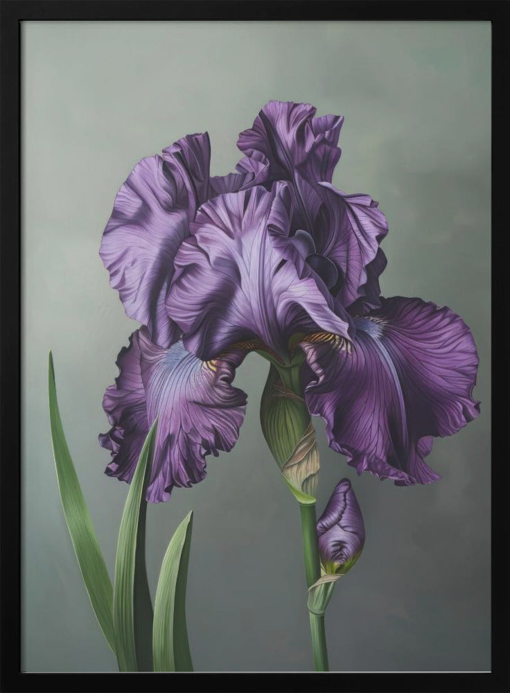 Wall art Iris Fl 18