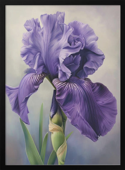 Wall art Iris Fl 100