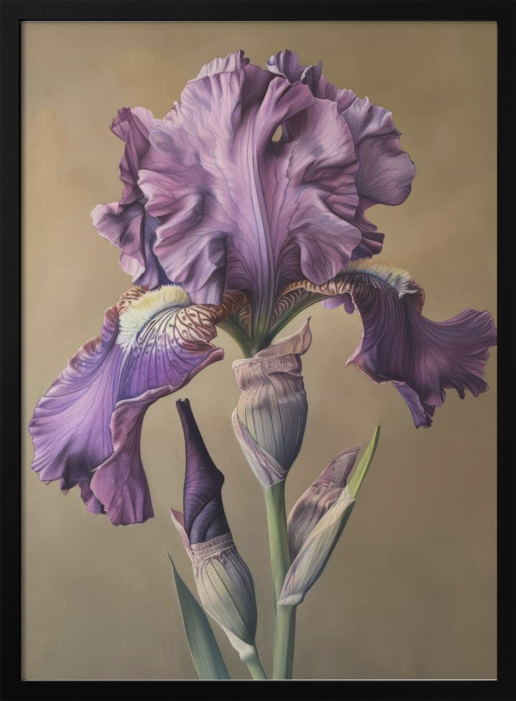 Wall art Iris Fl 101