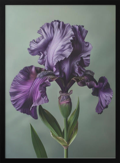 Wall art Iris Fl 10