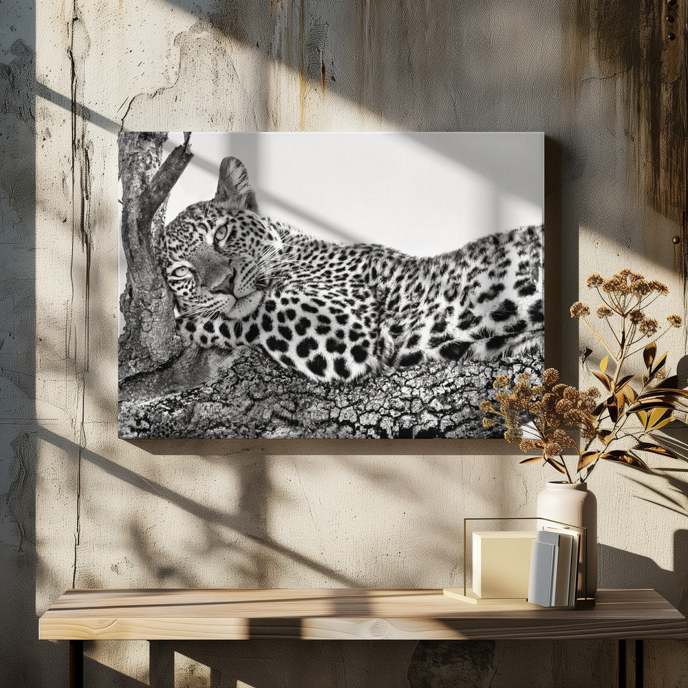 Wall art Time to rest Leopard