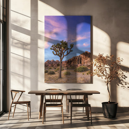 Wall art Joshua Tree Evening Atmosphere