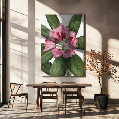  Mountain Rose Bay (1932) Wall Artwork In White Floating Frame