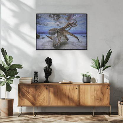  Dancing Octopus Wall Artwork In White Floating Frame