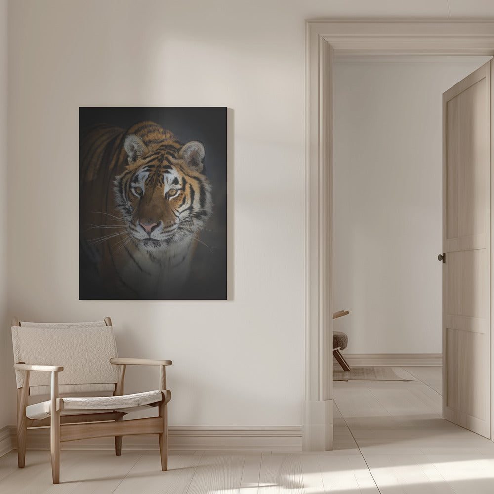 Wall art Portrait of a Siberian Tiger