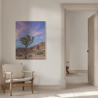 Wall art Joshua Tree Evening Atmosphere