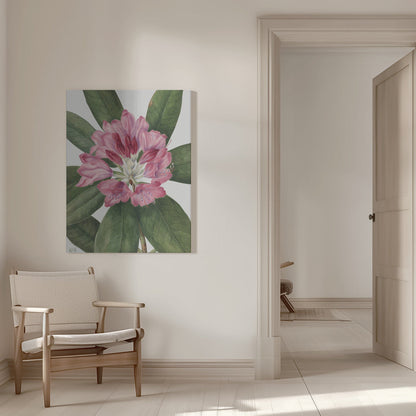  Mountain Rose Bay (1932) Wall Artwork 0