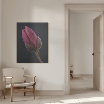 Wall art Pink Tulip 1