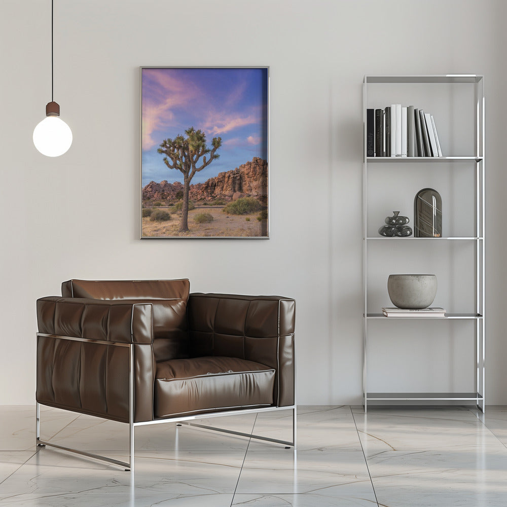 Wall art Joshua Tree Evening Atmosphere