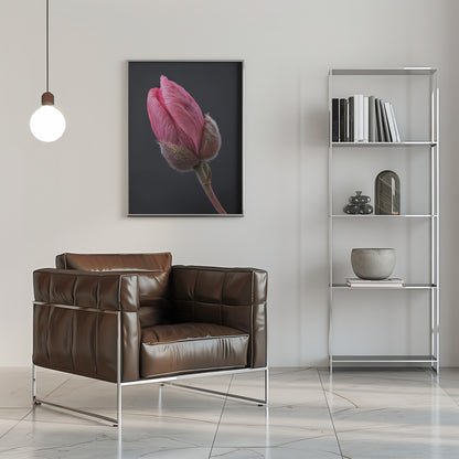 Wall art Pink Tulip 1